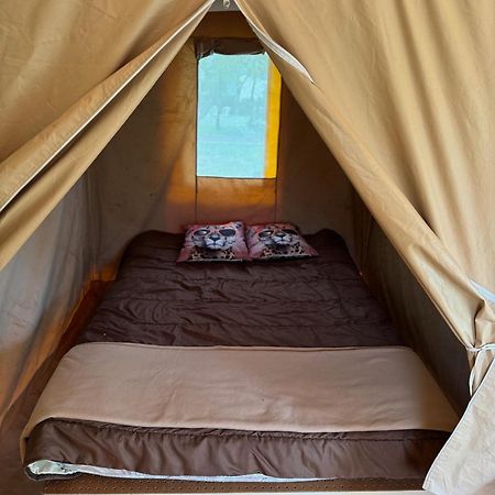 Camping Animal King Esnandes Kültér fotó