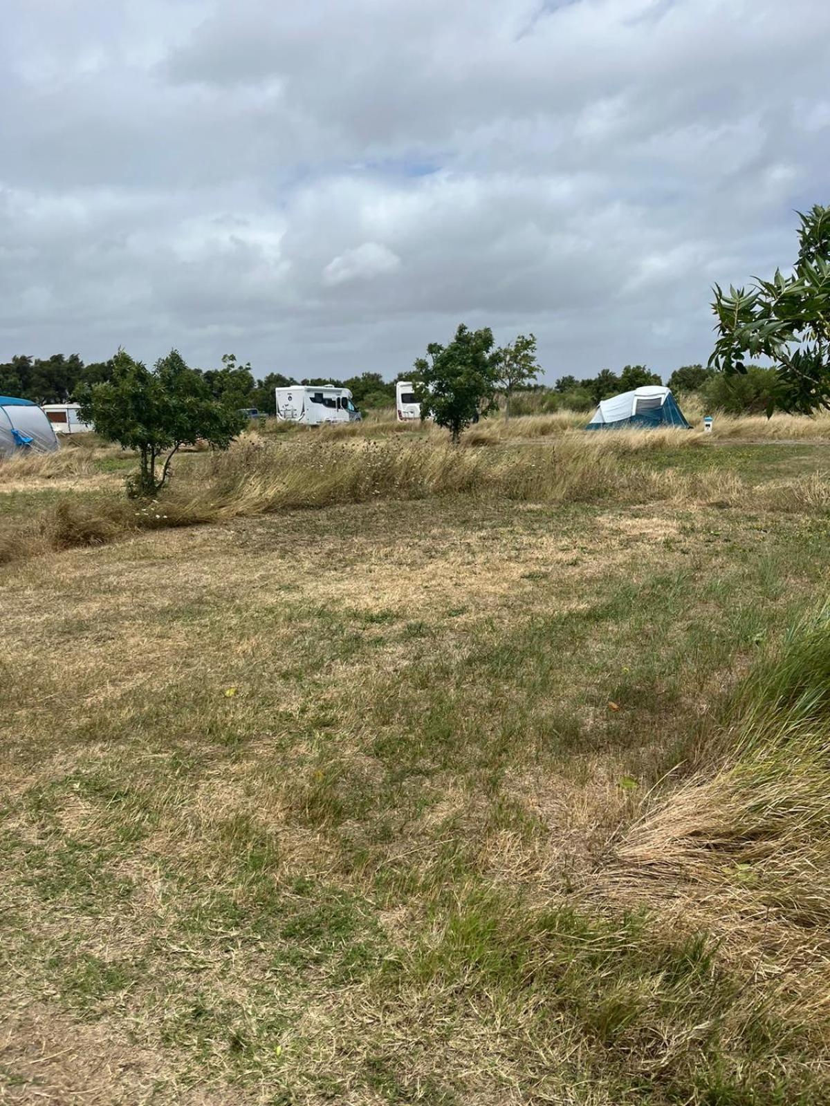 Camping Animal King Esnandes Kültér fotó