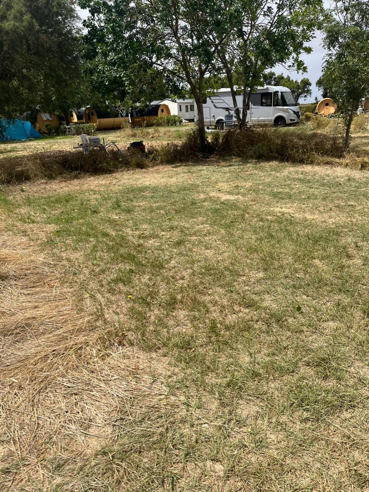 Camping Animal King Esnandes Kültér fotó